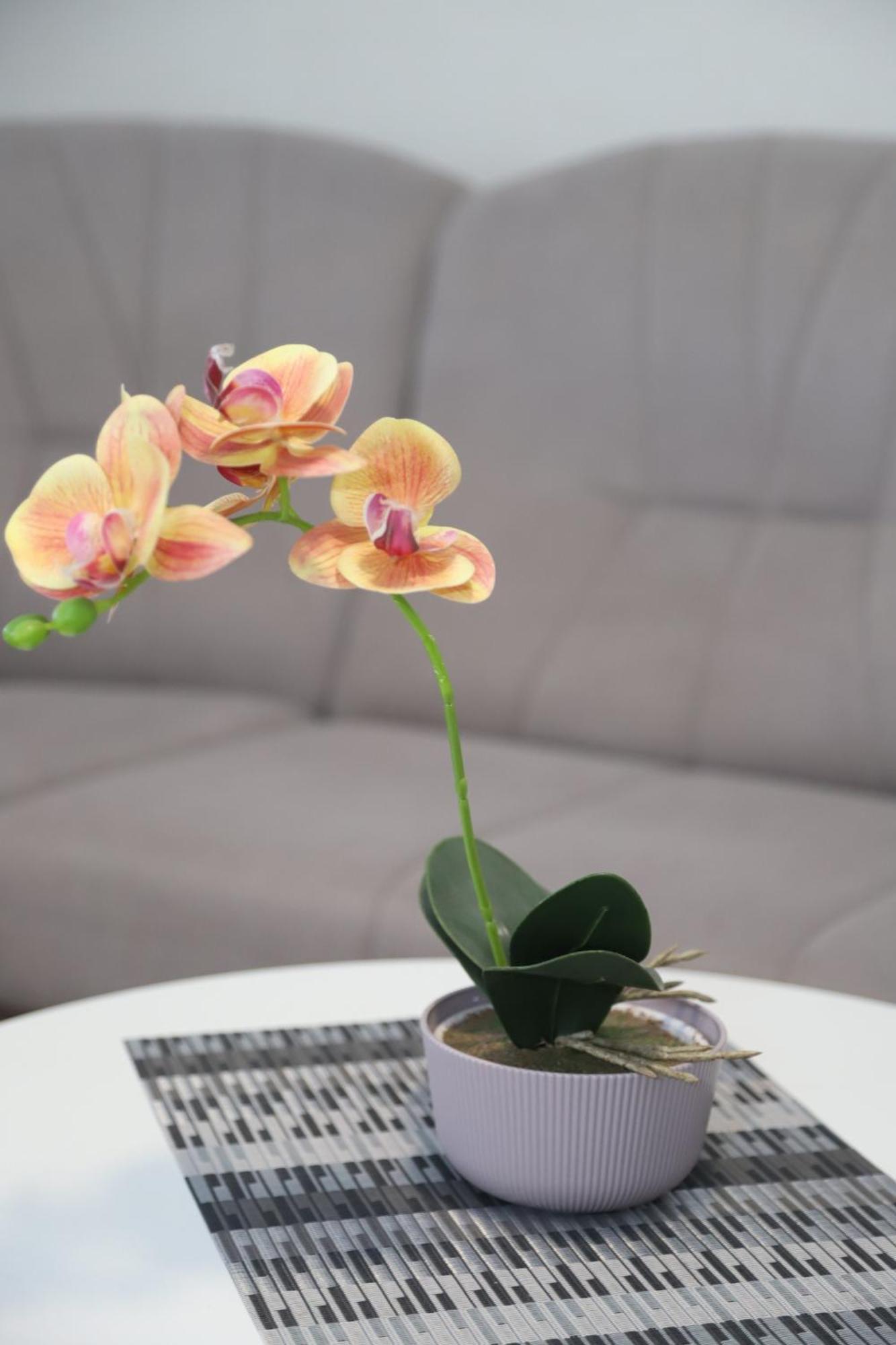 Apartman Hadze モスタル エクステリア 写真